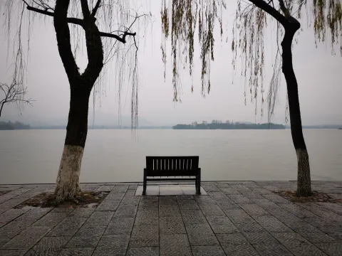 柳浪闻莺21