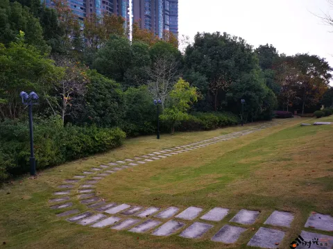滨江公园一景