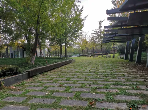 钱江CBD公园