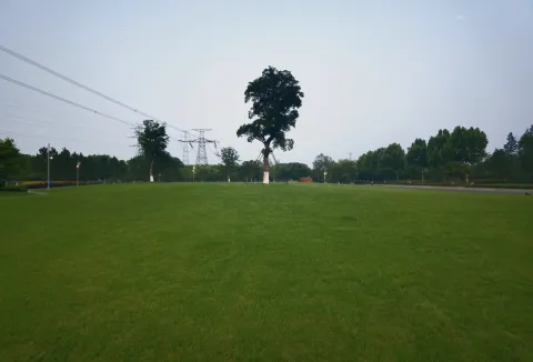 长田漾湿地公园7
