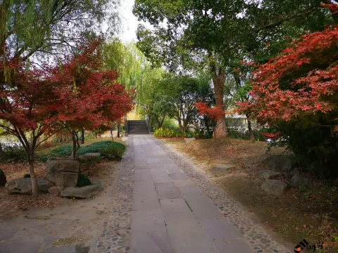 湘湖东岸的人行走道