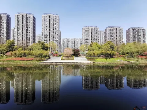 不一样的小河景致