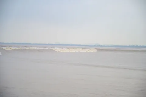 钱江潮6