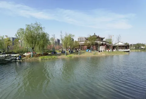桃花湖公园5