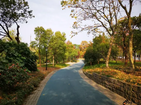 湘湖东岸的人行走道