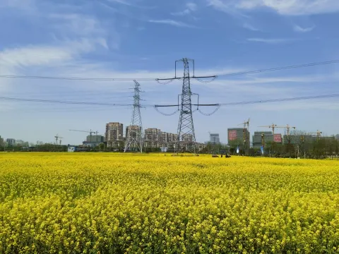 田园牧歌7