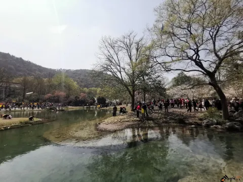 游玩太子湾公园的游人如潮