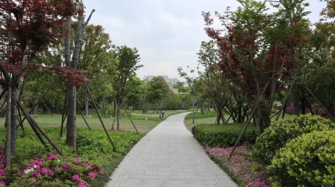 钱江世纪公园