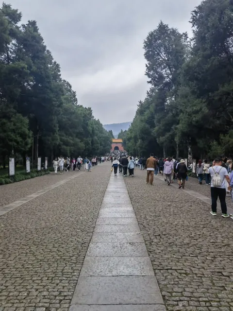 明孝陵6