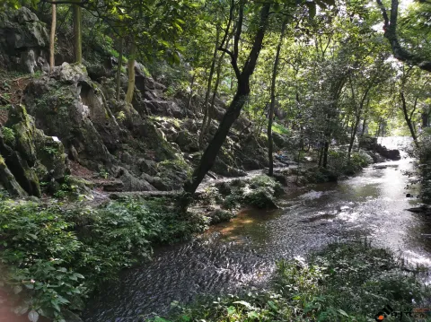 灵隐寺飞来峰