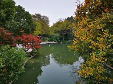 初冬，西湖湖滨的景色