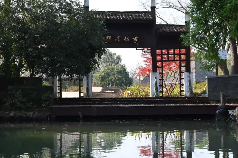 西溪湿地10