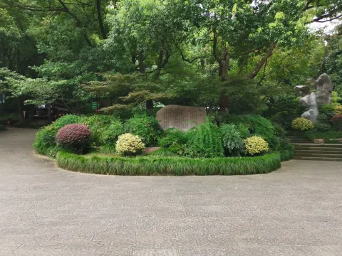 半山国家森林公园2