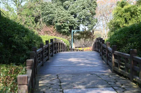 西溪湿地6