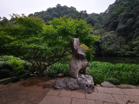 九溪路两侧的美景