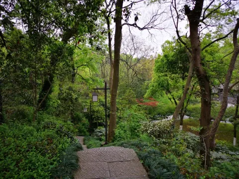 万松书院11