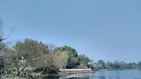 花港观鱼景色