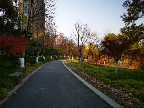 萧山北塘公园秋季的风景