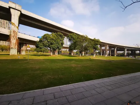 西兴大桥高21