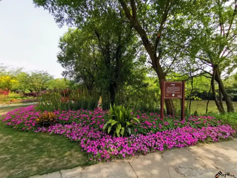 西溪花朝节