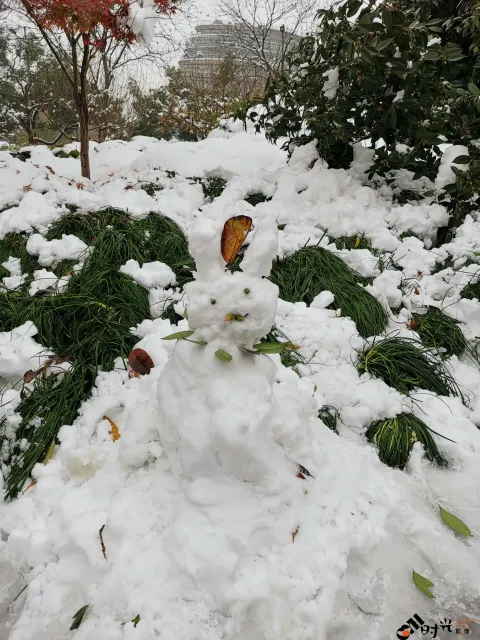 一个小雪人