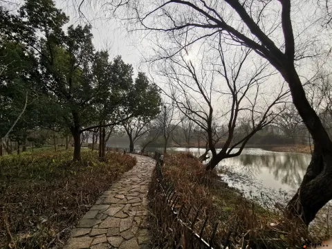 西溪国家湿地公园
