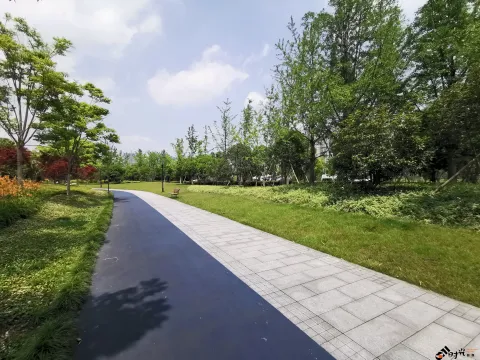 宁静而致远