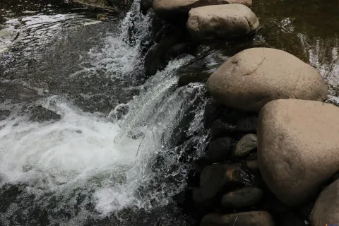 奔流的溪水