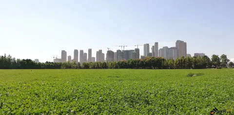 博览中心周边景色