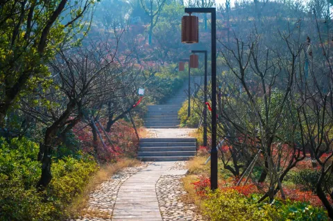 小梅山13