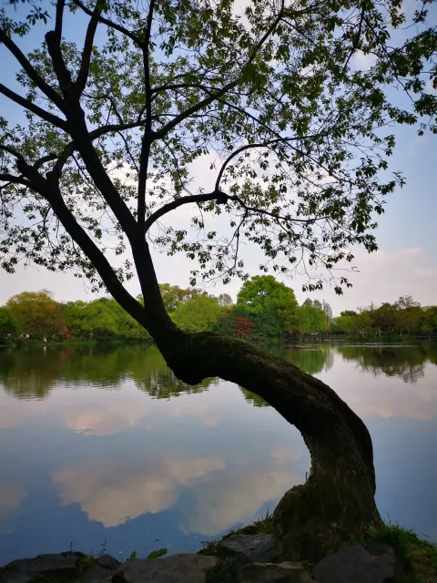 小瀛洲2