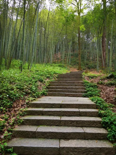 五云山70