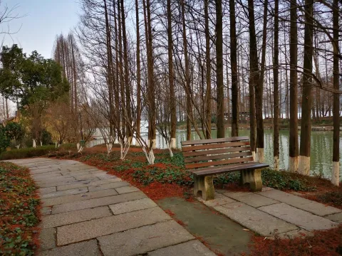 湘湖行人走道