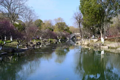 超山景区18