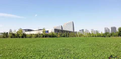 博览中心周边景色