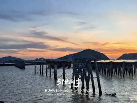 薄刀嘴的黄昏6