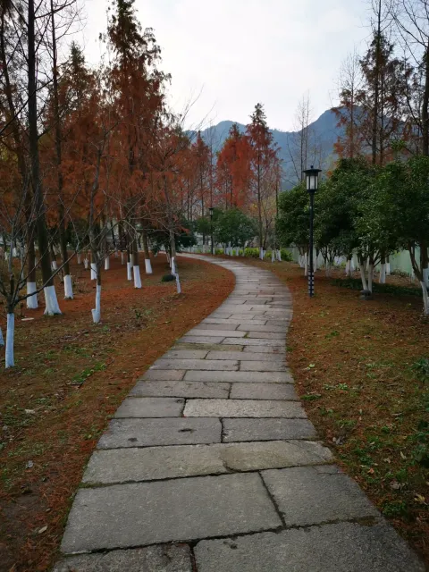 湘湖行人走道