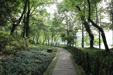 乌龟谭边幽静的石头走道