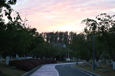 盐城，大洋湾10