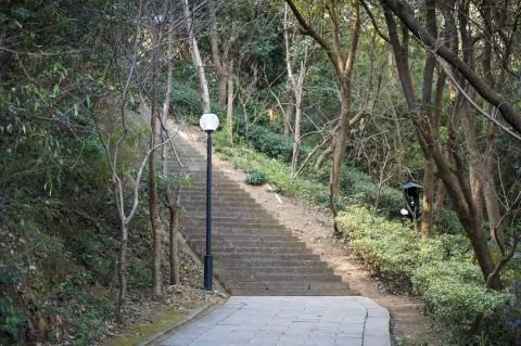 仁皇山爬山走道5