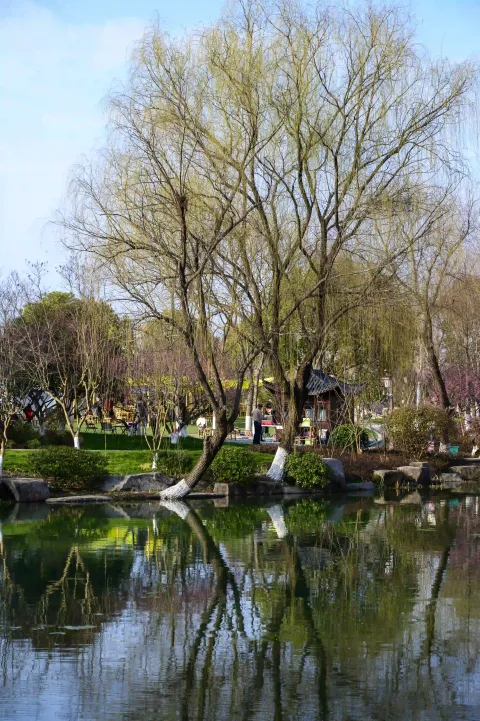 超山景区25