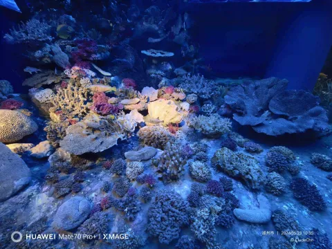 浙江自然博物院安吉馆15