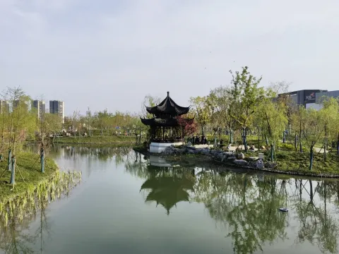 桃花湖公园14