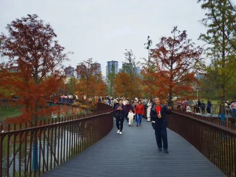 玉湖YOHOOPARK12