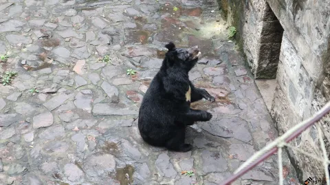 杭州动物园