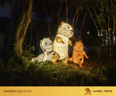夜色中坐摇橹船赏灯18