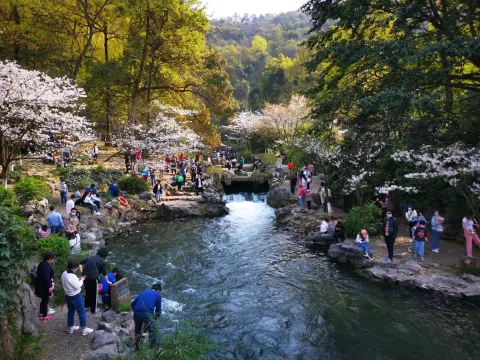 太子湾踏春36