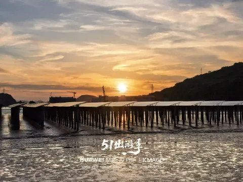 薄刀嘴的黄昏3