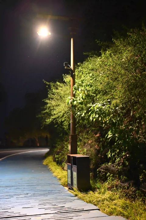 舟山东海云廊绿道夜景6
