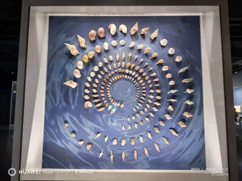 自然之美4